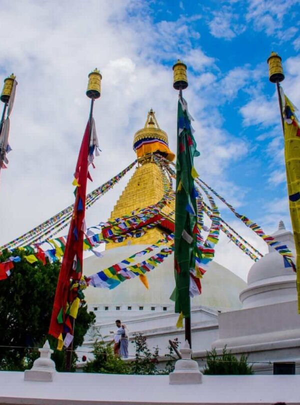 Trip Types | Find Your Perfect Trip | Dogra Holidays