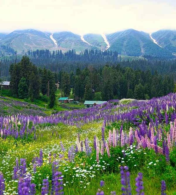 Gulmarg, Jammu and Kashmir