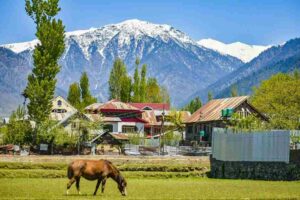 Offbeat Kashmir Tour Package