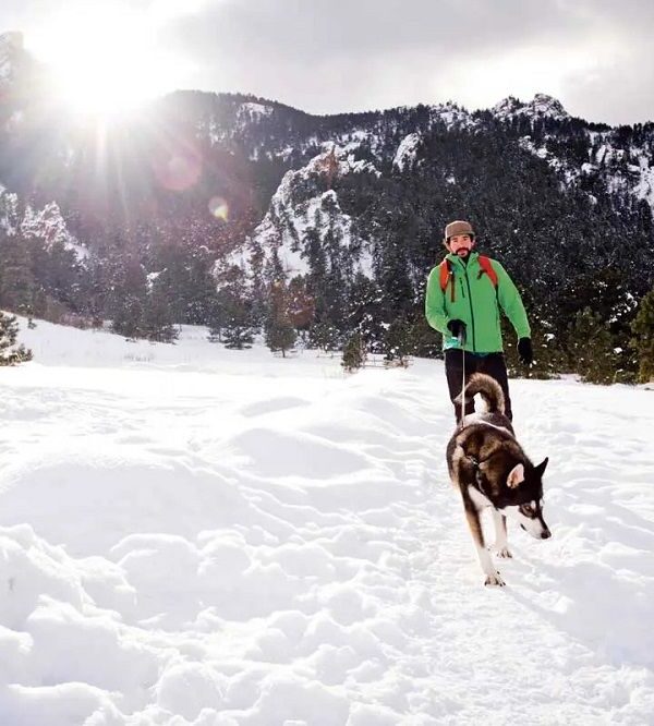 Pet Friendly Travel, Kashmir