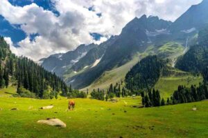 Sonamarg Valley in Kashmir