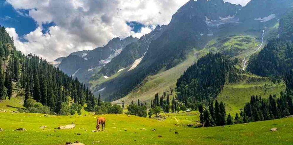 Sonamarg Valley in Kashmir