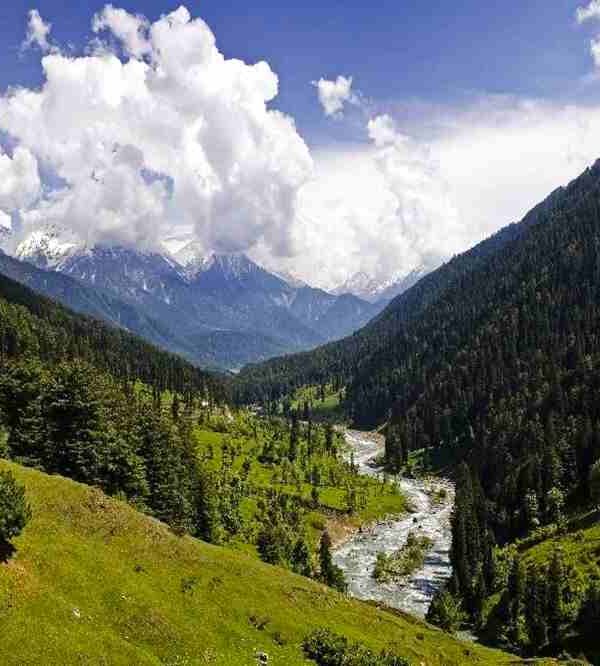 Aru Valley Kashmir.jpg