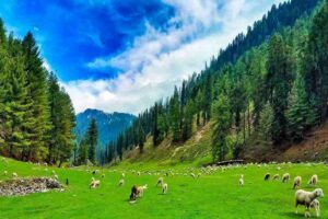 Chinta Valley-Bhaderwah