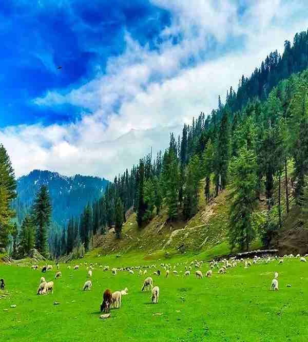 Chinta Valley-Bhaderwah