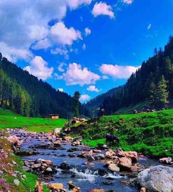 Jai Valley - Bhaderwah Tourist Attrction