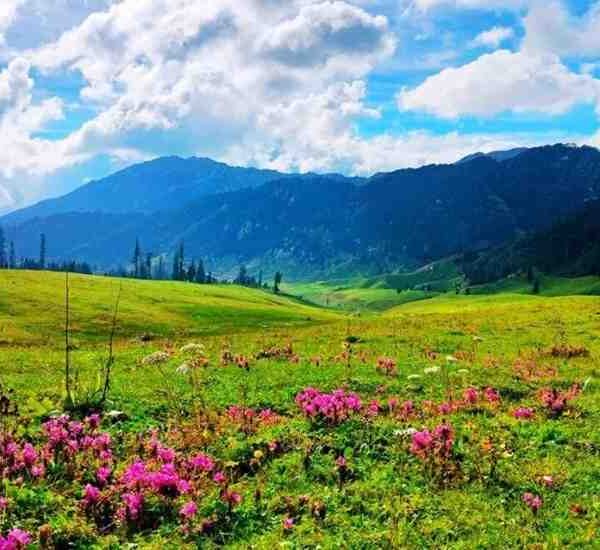 Seoz Dhar Bhaderwah