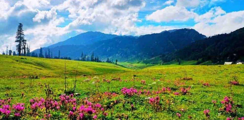 Seoz Dhar Bhaderwah