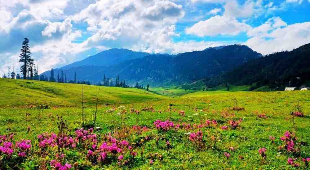 Seoz Dhar Bhaderwah