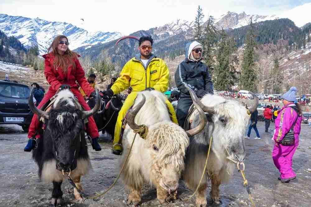 Yak Ride in Manali