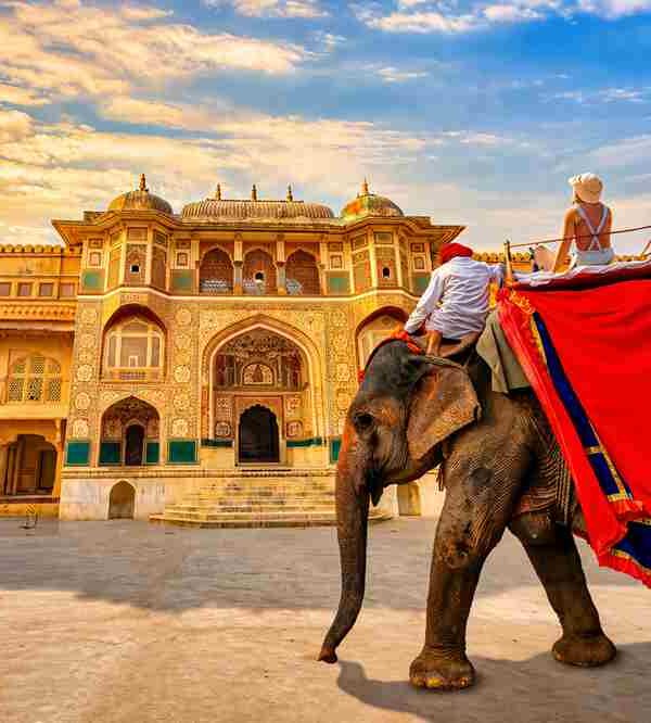 Elephant Ride Activity – Rajasthan