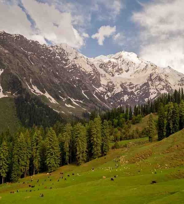 Himalayn National Park – Himachal Pradesh, Dogra Holidays